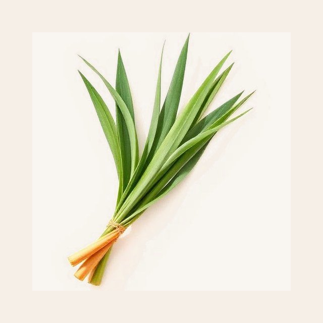 Lemongrass